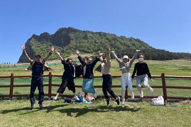 1-Day Jeju Shore Excursion – UNESCO Highlights for Cruise Guests - Who should book this Jeju excursion?