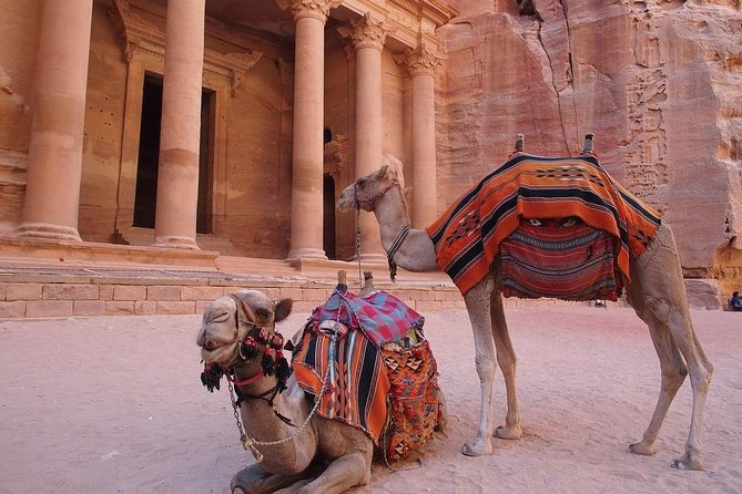 2 Day 1 Night Wadi Rum (Overnight) & Petra Shore Excursion - From Aqaba port to the red desert