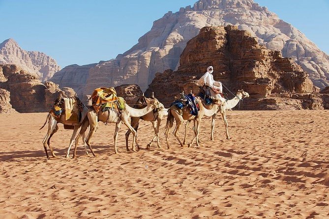 2 Day 1 Night Wadi Rum (Overnight) & Petra Shore Excursion - Who should book this Jordan shore excursion?