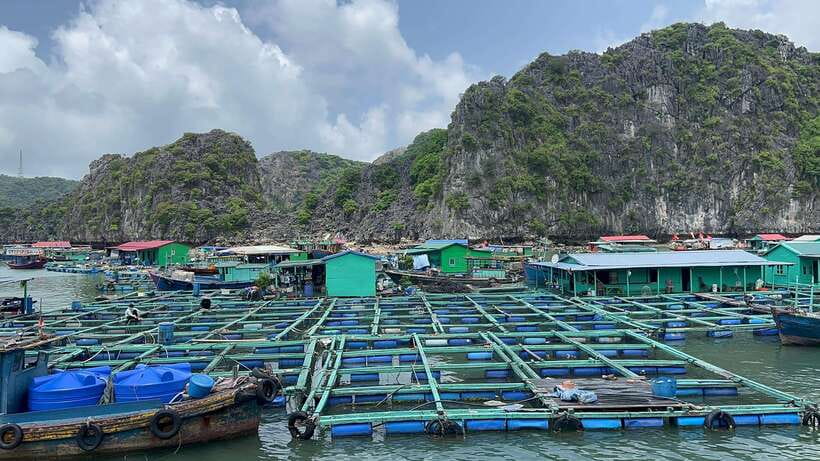 2-Day Lan Ha and Cat Ba Cruise Tour By 3 Star Cruise Ship - Meals, cabins, and the important room warning