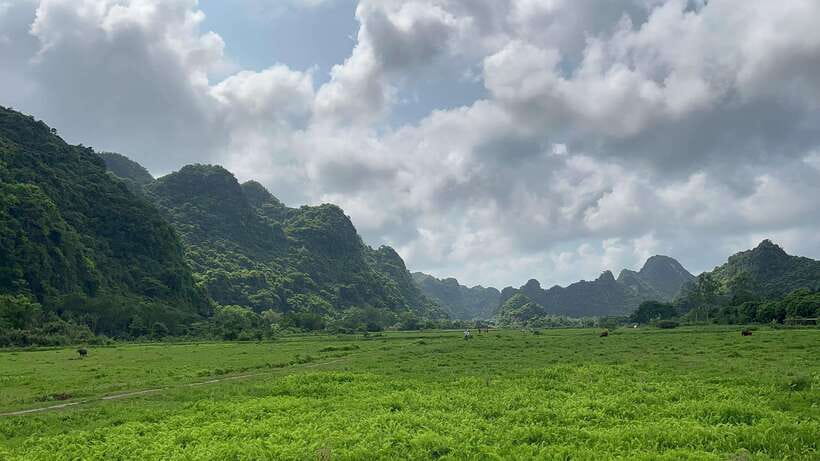 2-Day Lan Ha and Cat Ba Cruise Tour By 3 Star Cruise Ship - Is $159 a fair price?