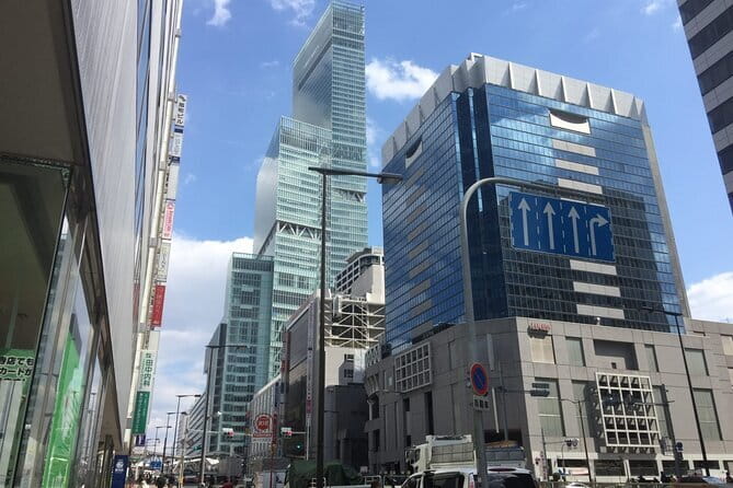 4/5/6 Hours Private Osaka Tour Designed for Cruise Passengers - Kuromon Market for food and local produce