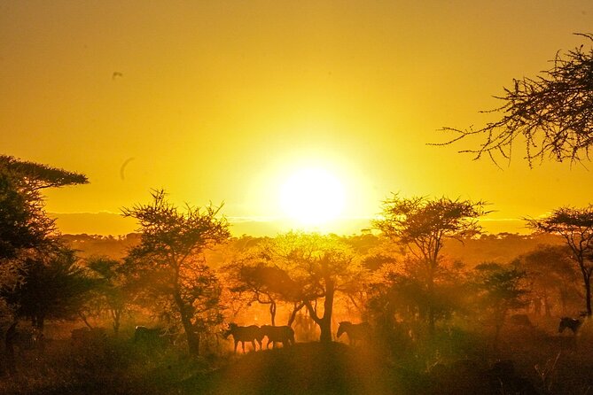 5-Day Private midrange Tour in Arusha with Airport Pickup - Four parks in five days from Arusha