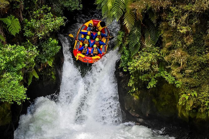 6.5 hour Small-Group Rotorua Naturally Shore Excursion - Tauranga - The Redwoods Treewalk is the day’s big finish
