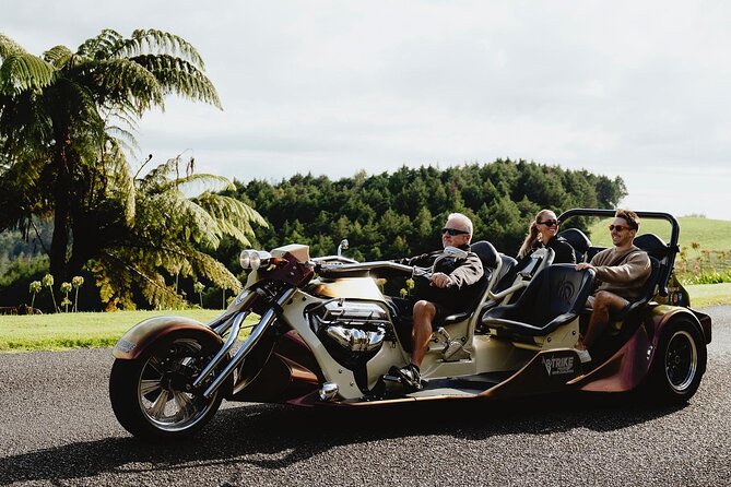 6.5 hour Small-Group Rotorua Naturally Shore Excursion - Tauranga - A small glow worm cave with a useful bonus