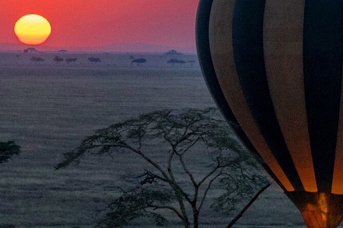 7-Day Private midrange Tour in Arusha with Airport Pickup - A seven-day route with very little wasted time