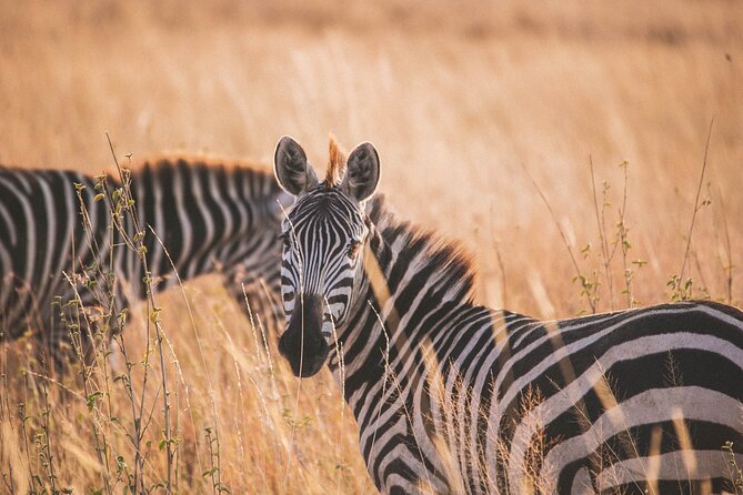 7-Day Private midrange Tour in Arusha with Airport Pickup - Day 2: Lake Manyara and the changing shoreline
