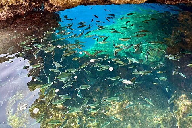A Relaxing Private Corfu Sea Tour for Cruise Passengers - The Blue Caves and Saint Arsenios Church