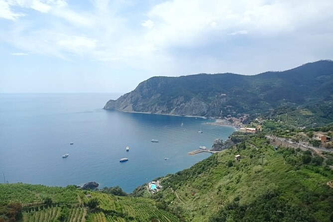Accessible Cinque Terre and Pisa Private Excursion from Livorno - Key points at a glance