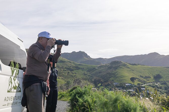 Akaroa & Banks Peninsula from Lyttelton(Private Shore Excursion) - Key points before you book