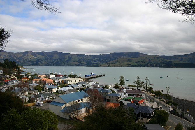Akaroa Shore Excursion: Akaroa Harbour and Giants House Local Tour - Akaroa Harbour, the first half-hour