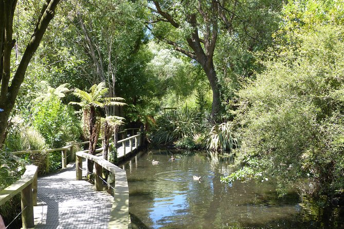 Akaroa Shore Excursion: Banks Peninsula, Christchurch City Tour and Willowbank Wildlife Reserve - Why the return journey matters on a cruise day