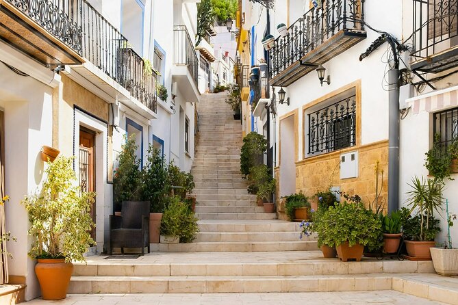 Alicante Highlights Tour for Cruise Passengers with Port Pickup - Why this tour works well from a cruise ship