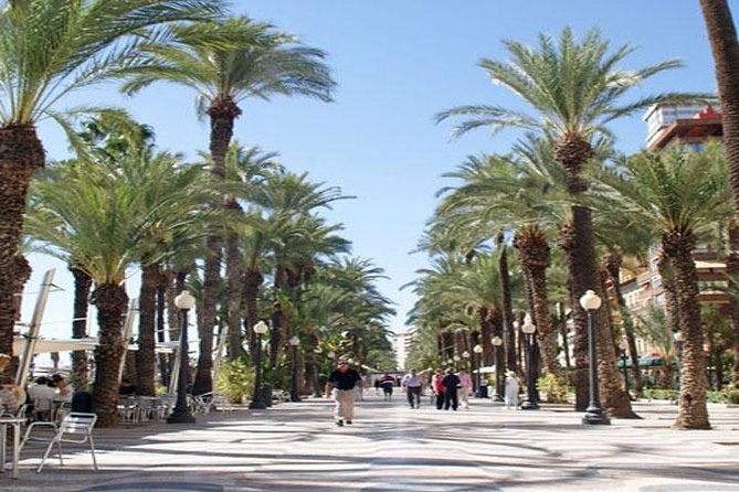 Alicante Shore Excursion: Private Walking Tour - Why this private Alicante tour works well from a cruise ship
