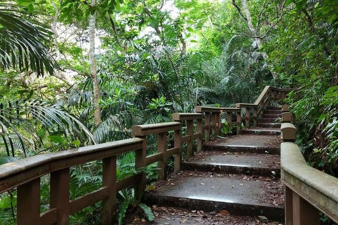 All-Inclusive Ishigaki Island Shore Excursion with English Guide - Kabira Bay: the main scenic stop