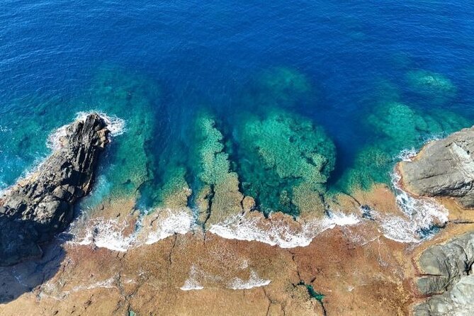 All-Inclusive Ishigaki Island Shore Excursion with English Guide - Banna Park: subtropical greenery near the end