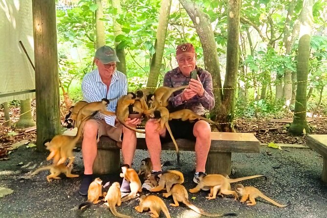 All-Inclusive Ishigaki Island Shore Excursion with English Guide - Lunch, snacks, and the small details that matter