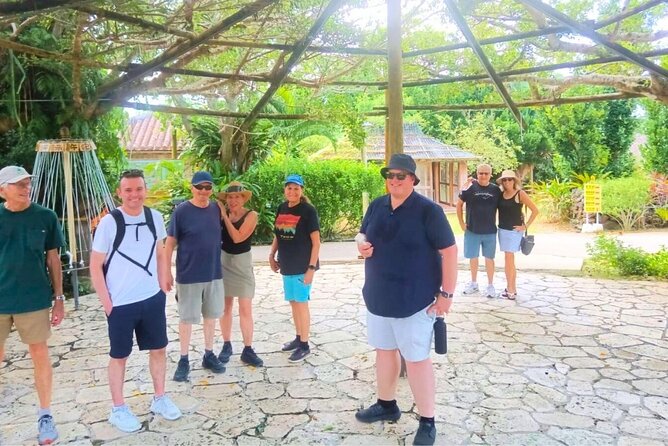 All-Inclusive Ishigaki Island Shore Excursion with English Guide - Cape Oganzaki: lighthouse views in only 20 minutes