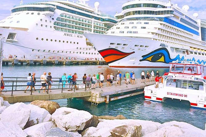 Annandale Falls & Fort Fredrick Express: Cruise Ship Return - Who will enjoy this Grenada excursion?