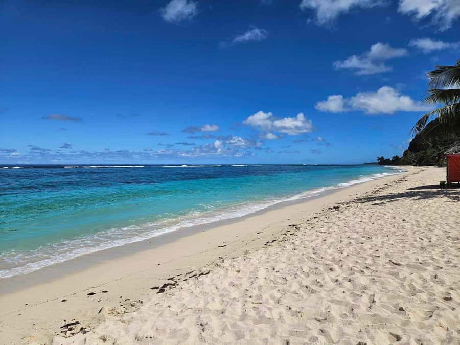 Apia Port: Cruise Guests’ Shore Excursion - Key points to know before booking