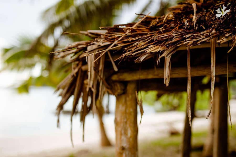 Apia Port: Cruise Guests’ Shore Excursion - Why this east-coast route works from Apia