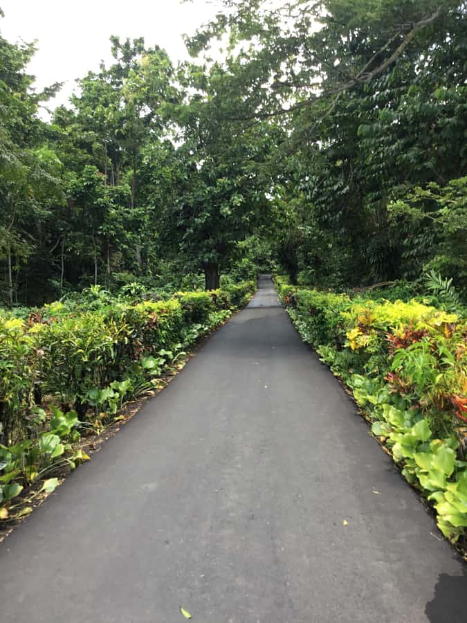 Apia Port: Cruise Guests’ Shore Excursion - Lalomanu Beach gives you an hour to slow down