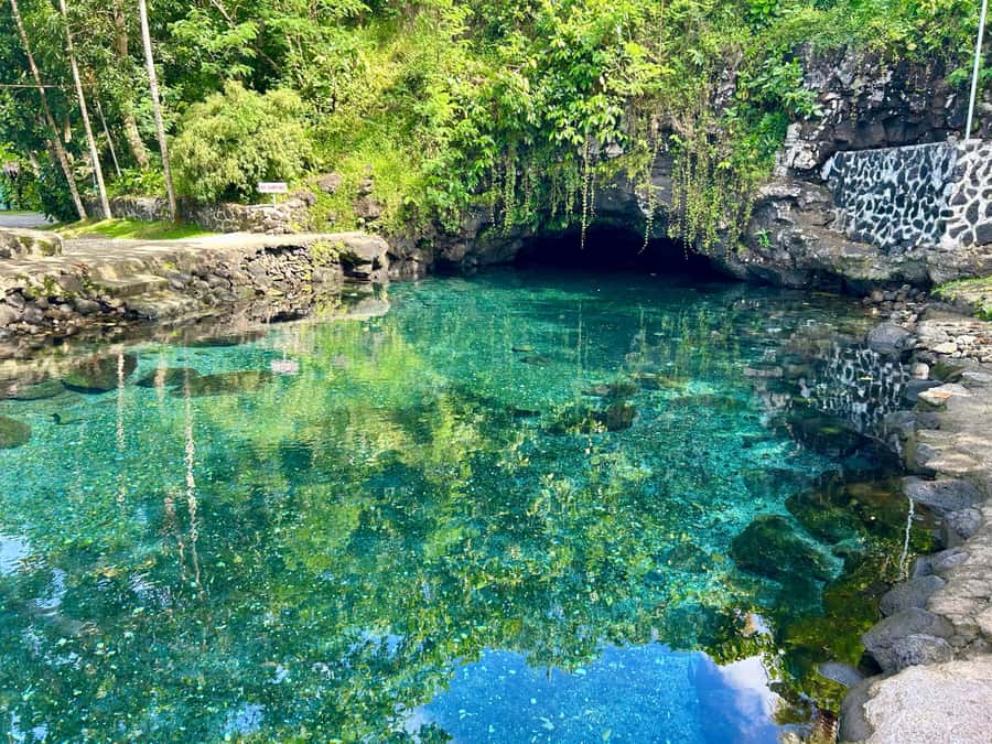 Apia Port: Cruise Guests’ Shore Excursion - What $155 per person really buys