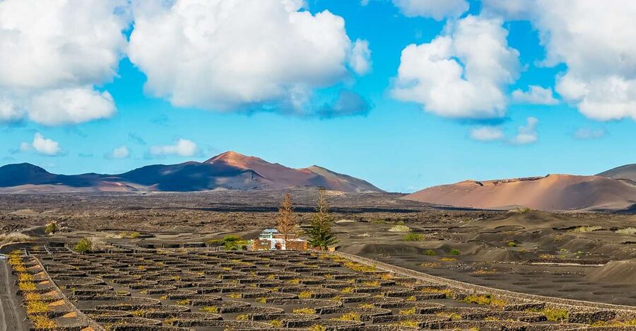 Arrecife: Timanfaya and Green Lagoon for Cruise Passengers - Why Timanfaya should be your priority