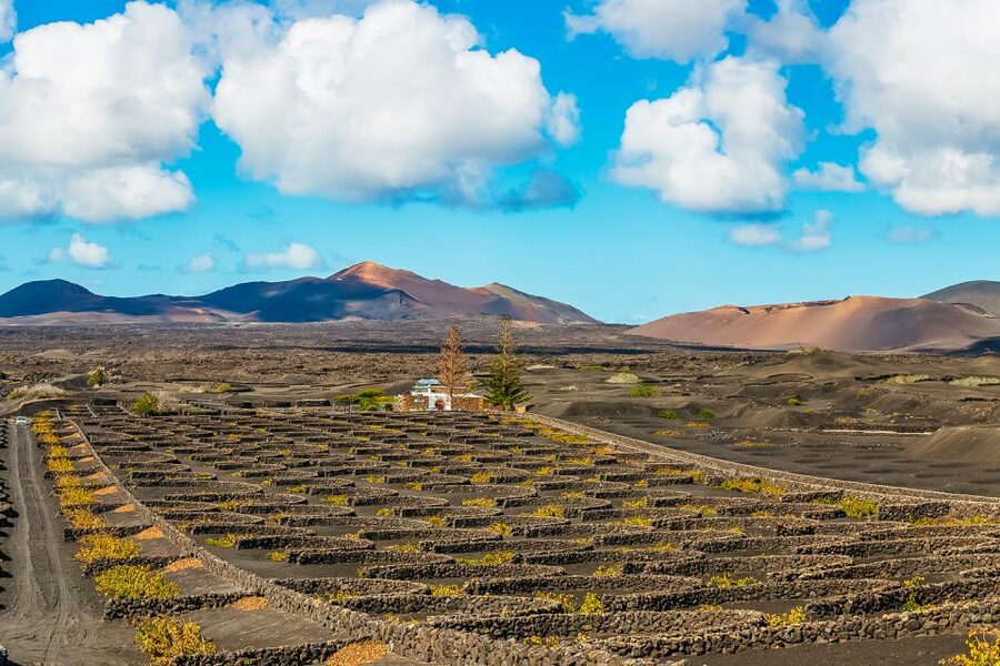 Arrecife: Timanfaya and Green Lagoon for Cruise Passengers - The five-hour route versus the shorter outing