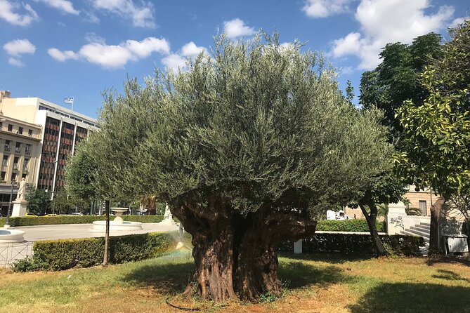 Athens by E-Bike: Monuments, Food & Transfers (Cruise Tour) - Mars Hill for the city view
