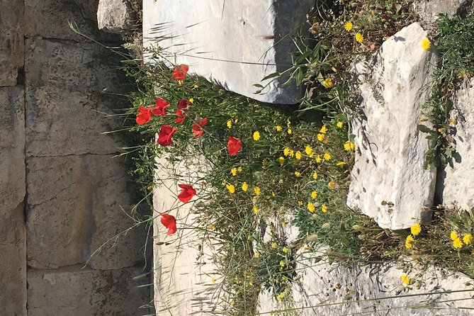 Athens Shore Excursion: Private City Sightseeing and Acropolis Tour - Syntagma Square and the changing guard