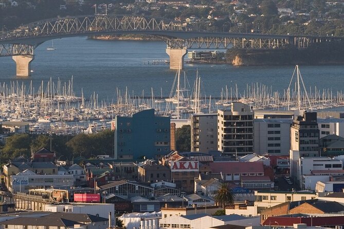 Auckland Private City Tour. Cruise port or Hotel pick up. - Mount Eden gives you Auckland in one look