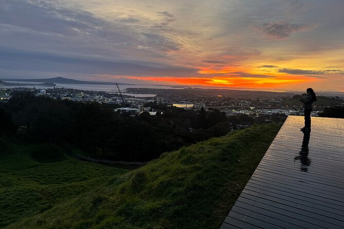 Auckland Private City Tour. Cruise port or Hotel pick up. - Tamaki Drive trades traffic for sea views