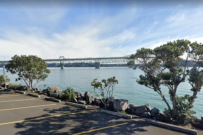 Auckland Private City Tour. Cruise port or Hotel pick up. - Wynyard Quarter leaves room for a flexible finish