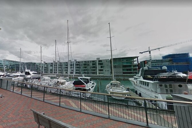 Auckland Private City Tour. Cruise port or Hotel pick up. - What the private format means for your day
