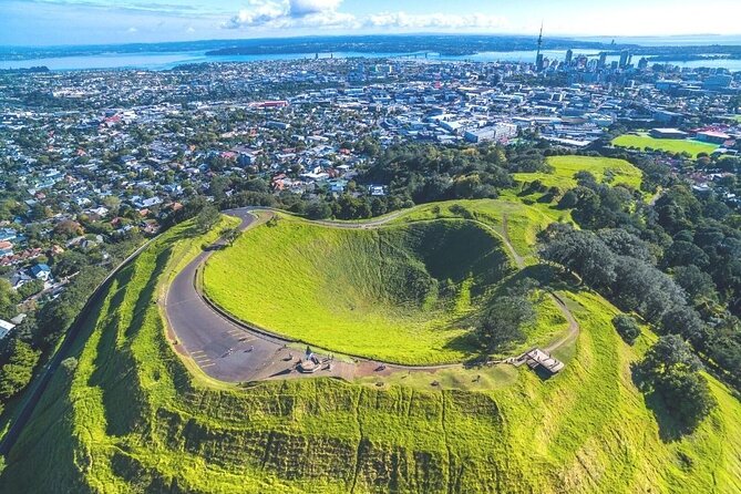 Auckland Private City Tour. Cruise port or Hotel pick up. - Auckland Domain and the choice of Auckland Museum
