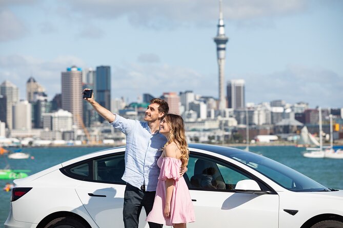 Auckland Shore Excursion: Half-Day Guided City Tour - What the $65.16 price really buys