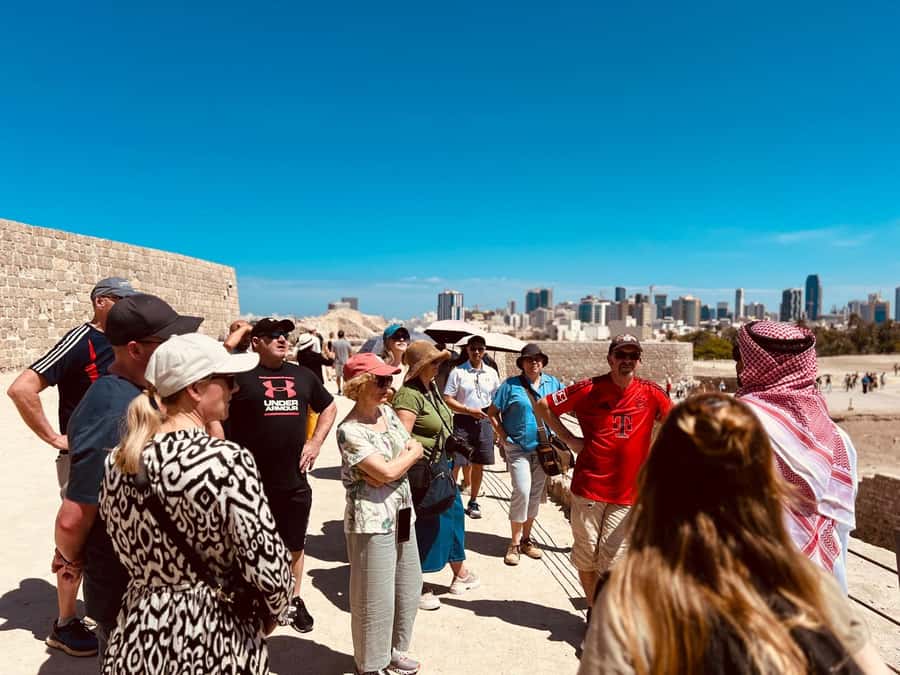 Bahrain Full-Day Highlights Tour:Manama,Desert&Tree of Life - Camels and the royal equestrian stop