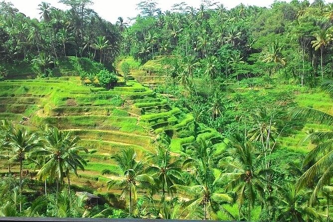 Bali Benoa Shore Excursion for cruise's passenger - All Inclusive - Traffic, timing, and the value of the package