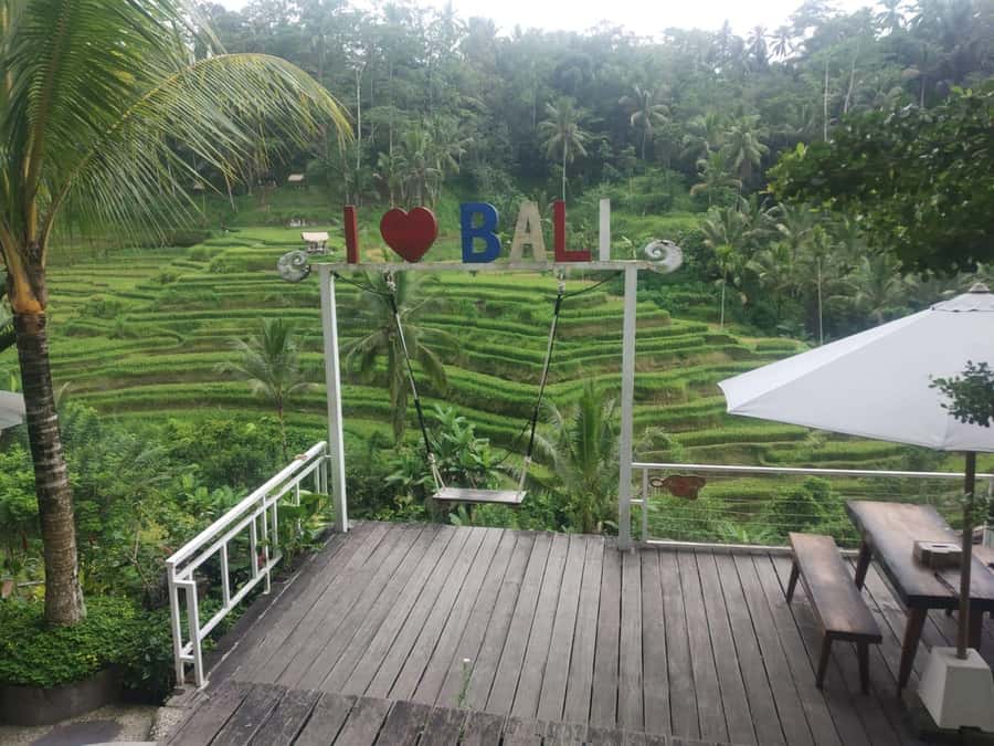 Bali: Shore Excursion for Cruises's passenger -All Inclusive - Tegenungan Waterfall and the walking involved