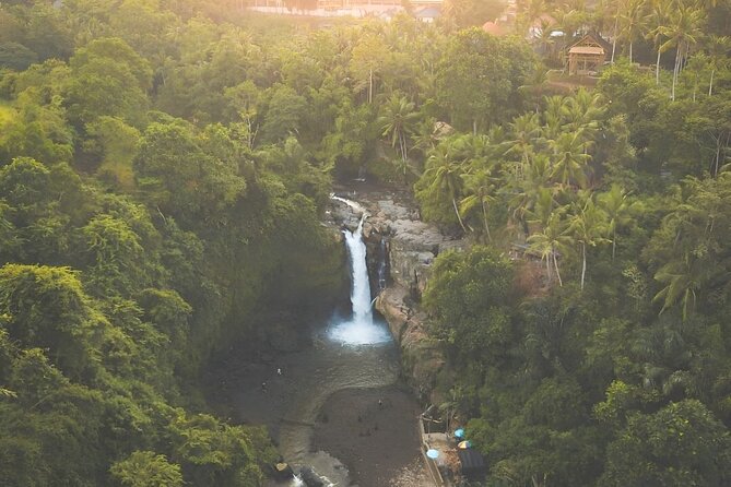 Bali Shore Excursions : Best of Bali Tour - Why Ubud makes sense for a Bali shore day