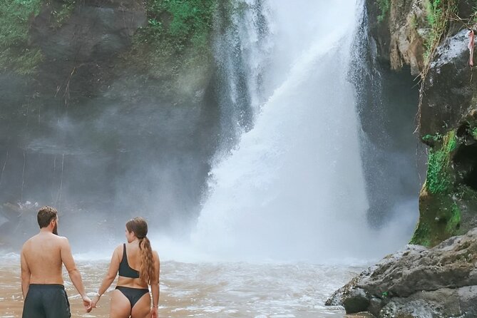 Bali Shore Excursions : Best of Bali Tour - What private guiding adds to the experience