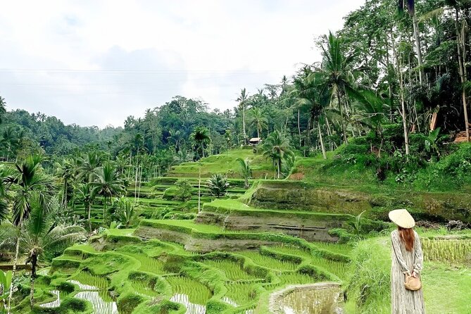 Bali Shore Excursions : Best of Bali Tour - Is $25 good value for a private Bali tour?