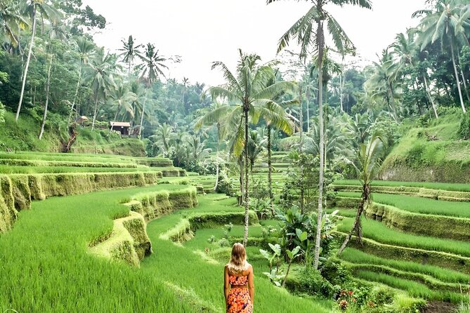 Bali Shore Excursions : Best of Bali Tour - Pace, comfort, and the long return to port