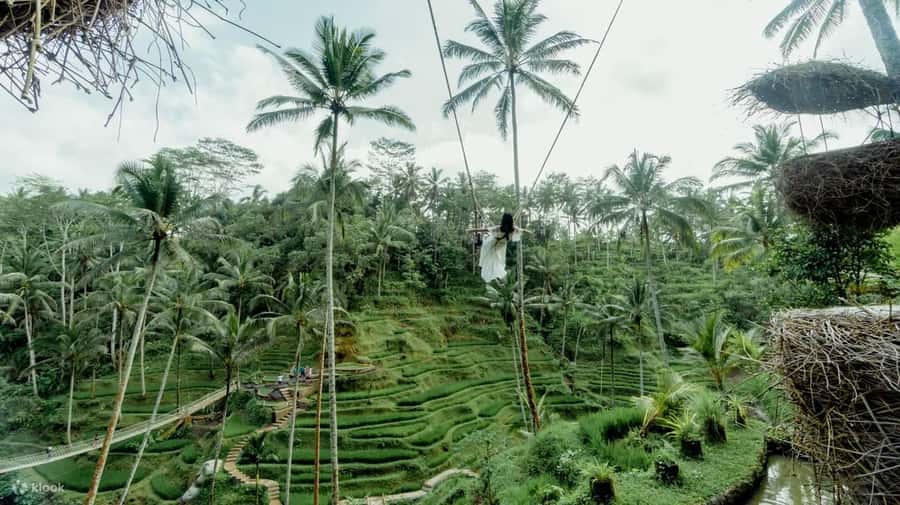 BALI SHORE EXCURSIONS: EXPLORING THE EXOTIC OF BALI - Booking Flexibility and Small Practical Details
