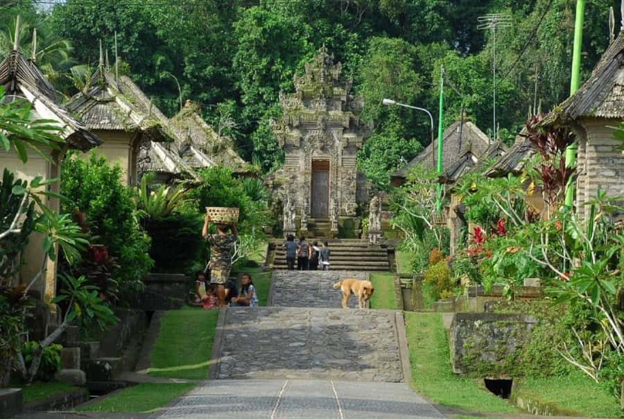 BALI SHORE EXCURSIONS: EXPLORING THE EXOTIC OF BALI - Comfort, Group Size, and Mobility Notes