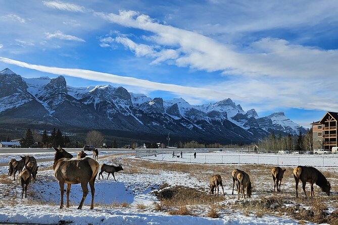 Banff Private Tour - Beyond the basics - A private route from Calgary into the Rockies
