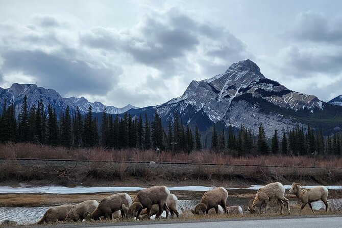 Banff Private Tour - Beyond the basics - What the $214.76 price really covers