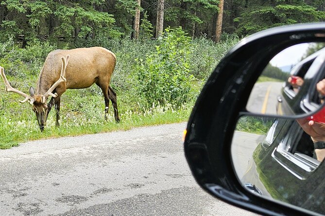 Banff Private Tour - Beyond the basics - Who will get the most from this day