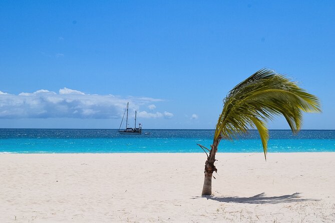 Barbados Shore Excursion: Bajan Highlights - Key points to know before you book